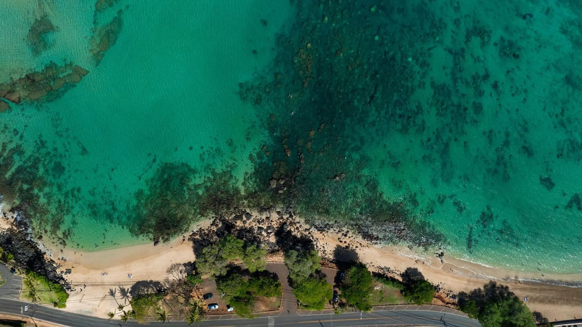 Oceanview Kahana Villa - Walk To Beach & Dining لاهينا 3*,
