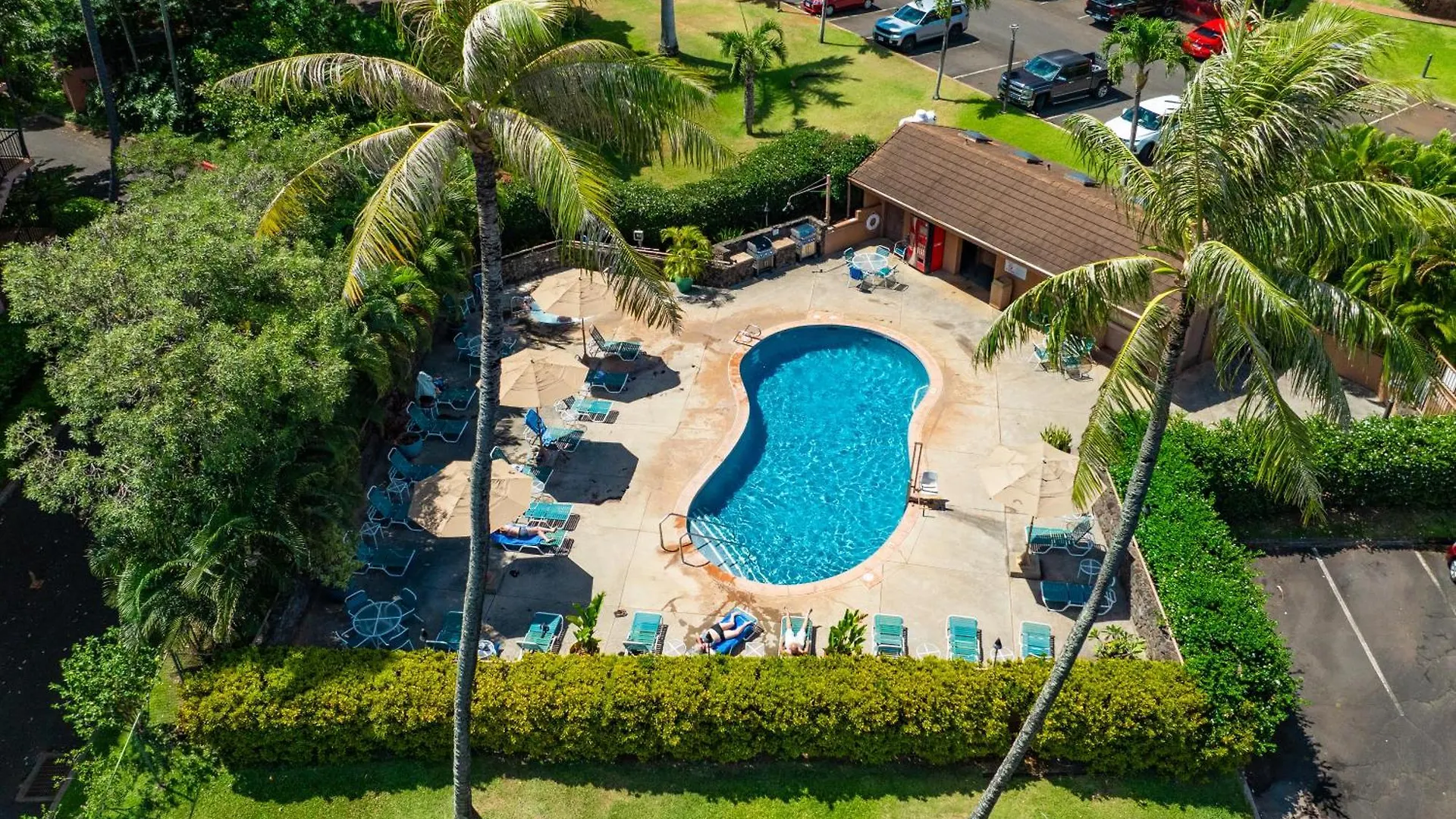 Oceanview Kahana Villa - Walk To Beach & Dining لاهينا منتجع